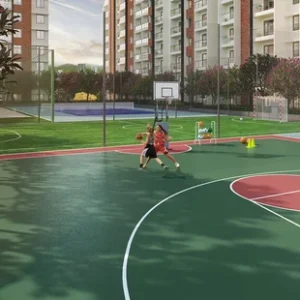 BasketBall (1)